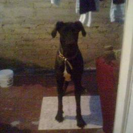 D 81ce24fd 1e20 49f5 915d 035367c18f2d