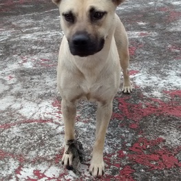 D 771608e0 014c 41f1 bd0f 8cc0f8c5b909