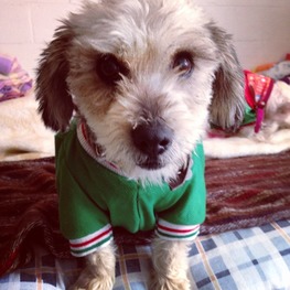 D aa678b94 50b6 4788 a36b 54c14eea4b03