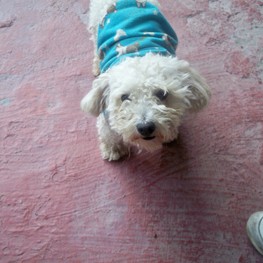 D fd1c921f b400 407f 873a 51f1eed5a565