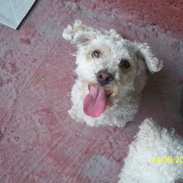 D 887b5ad3 0447 4a6b b18c b1469de6ae3f