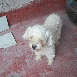 D 678e42a6 bbff 4c04 aa4d 59882ea5655a