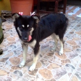 D cfb0da9c 39f5 4649 b7a1 af7d735b5f04