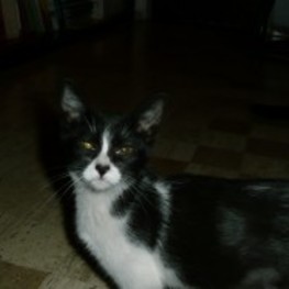 D 90ecd96b 1564 4e87 a1e0 861bee1bed71