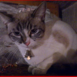 D c6facc60 e74c 4b34 9952 816046cf4819