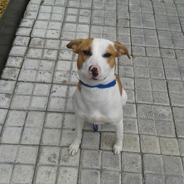 D c3420062 0464 4f45 afb5 d902d9591f56