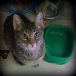 D eb3f70ed b404 46fc 947e e9cb8dc7669a