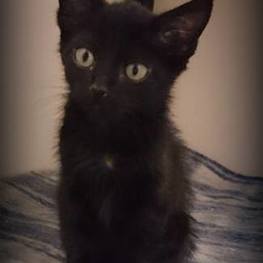 D 7ea2c845 42ad 49c8 929f e3a52a8f20c3