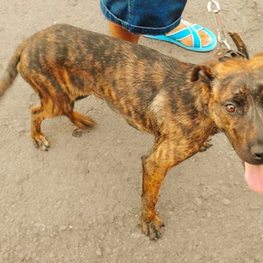 D 0eb8ae66 6261 4ffb 959b f283d030e9f0