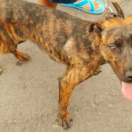 D e055f065 7cb0 4ddf a199 4991192b5a46