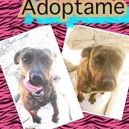 D e5baac79 bf1b 4c5b 8f3a 93cbe0fe0130