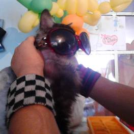 D 41f5d1fb b7c0 462c 89f6 78cb29887fe9