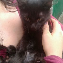 D 3eafdcca 0fd2 4628 aae4 74b24ff4df2a