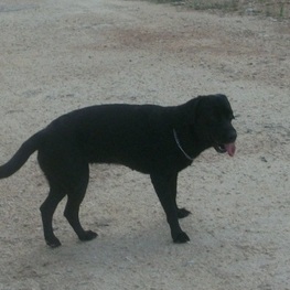 D c0552c73 f33a 4c92 92ab ceb9ea99eb1b