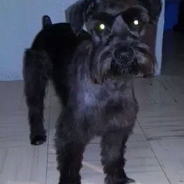 D f6569412 6cf0 43df 938a b794e8c22407