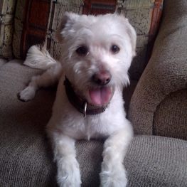 D 88ea28bd 1846 4961 804d 369c2ac24f41