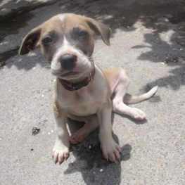 D 8be76a91 79b8 4e2a 9078 e19b67e6955c