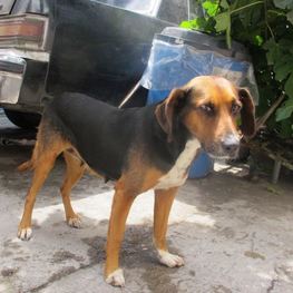 D b441aea6 70ea 4fa8 8ee5 f35530f804a4