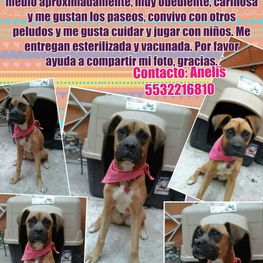 D 25383773 0b4a 44d9 96f9 3e1dbd3aa659