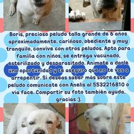 D f2f981ea 1cae 4246 9d53 5d9a25b9387f