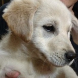 D 7762a578 8039 4c42 b2da bc8063be42bc