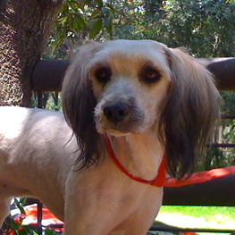 D f37c0391 f6c3 4ab8 932e f98a84e268f0