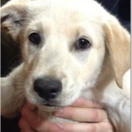 D 45dafb20 69ca 474d be73 8e7d2c80dfd6