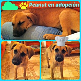 D 95934a74 f649 4291 a3c2 e8f9d9d7685a