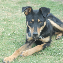 D 0c4affa2 1ae4 4062 9ce5 ab6367d0ed62