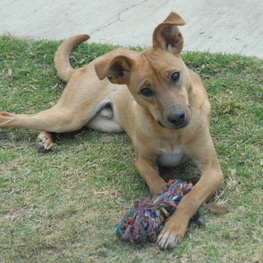 D b3f1dd53 58e1 46ad b212 ab3b47821ab5