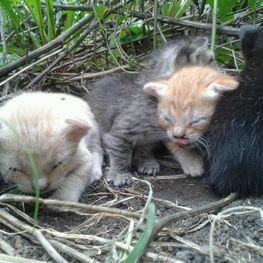 D 77864678 c059 4e84 8c64 0426aa3b7df3