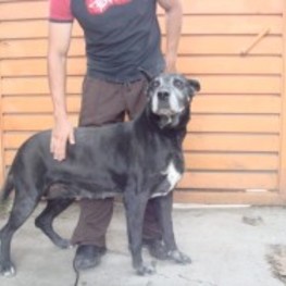 D 0c74283f 7e97 4395 9024 01dc12eb3426