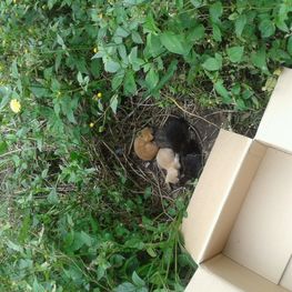 D b1d3a592 6782 46ec 9aa3 c6c860152eae