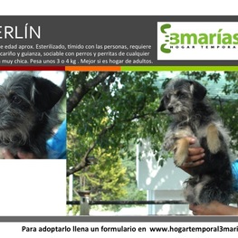 D be1f2c05 3eaf 4a76 a616 613e02681e24