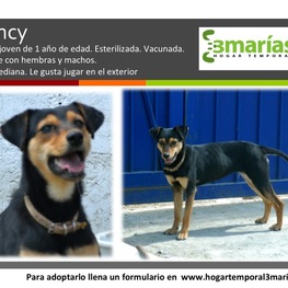 D 41444722 78b2 4c78 8260 6d6d766f1a7c