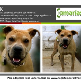 D 58340e8a 184f 4e5a bd3a 0e2575bead0c