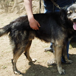 D d8629aaa 519c 4562 bb48 403e526ee1c4