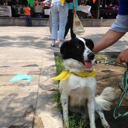 D 86046696 bd70 4ba0 9bc6 3d8f3d2f9015