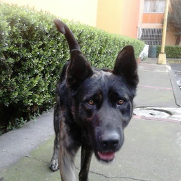 D 39345ec5 a323 4435 9c96 7c078ae01507