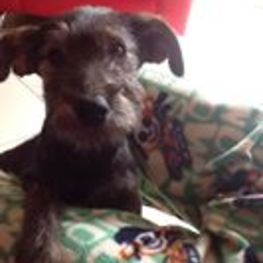 D 3e2b4bca e08f 4b29 abb8 aff7058b8b35