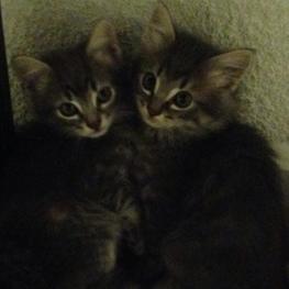 D 121699cf 3b47 408b b232 bb904adfe8cc