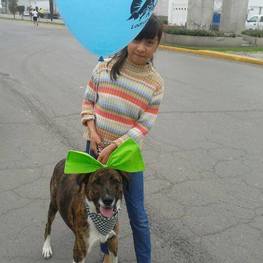 D f7b40889 ae49 4c03 a8ea d41daf441317