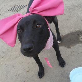 D 380c3bc0 6e26 4f45 920c 54f68312abe2