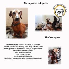 D 5a4f1733 5086 4822 9489 1e5d7c712327