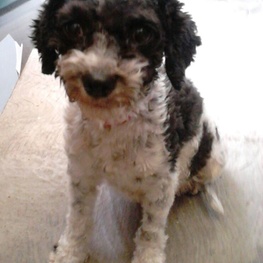 D 5172ad29 cb5c 476e 8879 44d9a9878d66