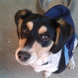 D 9f6e214d 7b30 4d9e 856a 6482948a3787