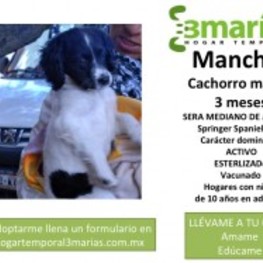 D 0baa643a 5547 4cc9 975d 0b2f957c7940