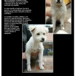 D 597eba6e 0a88 4f91 b128 4bd06e507f47