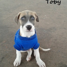 D 8b54c854 d232 4993 83f3 a8f56307fcc8