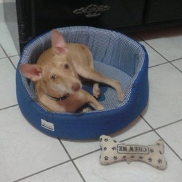 D d28da406 2a25 4529 9abf 6e4255bfa4f4